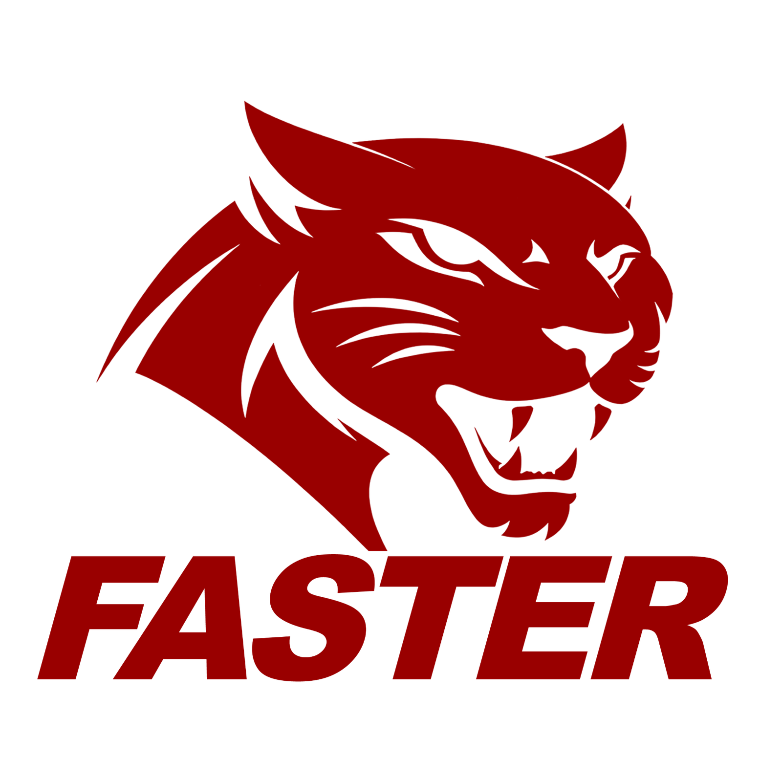 FasterHZ logo